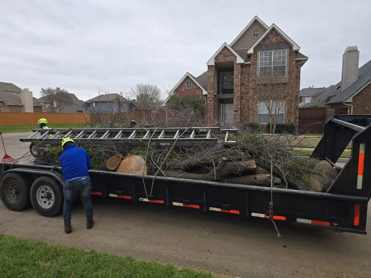 Expert Tree Fertilization with proper safety equipment in Ocate